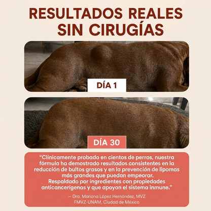 Bloomwell™ Fórmula Antibultos