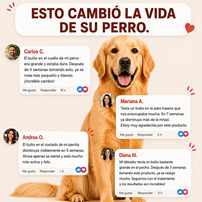 Bloomwell™ Fórmula Antibultos