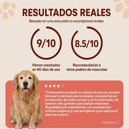Bloomwell™ Fórmula Antibultos