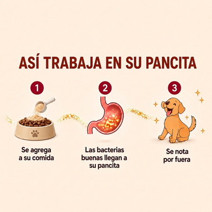 Bloomwell™ Salud Intestinal