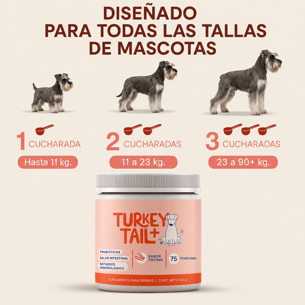 Bloomwell™ Salud Intestinal